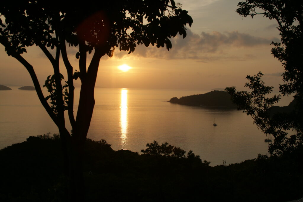 Image gallery image