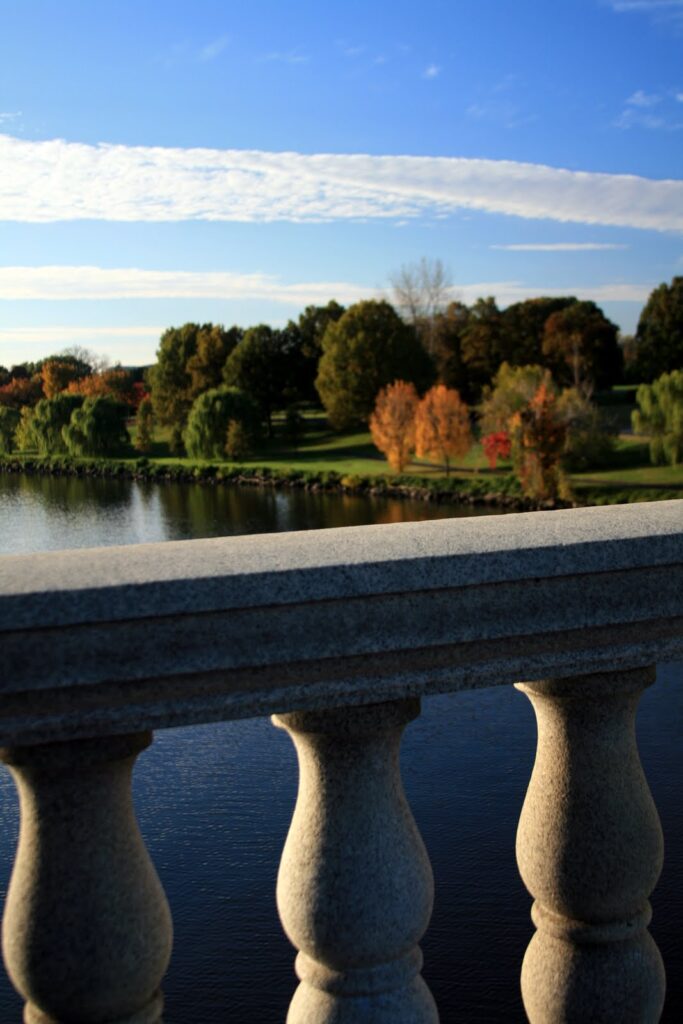 Image gallery image