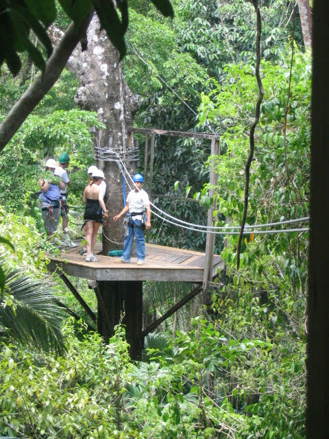 Image gallery image
