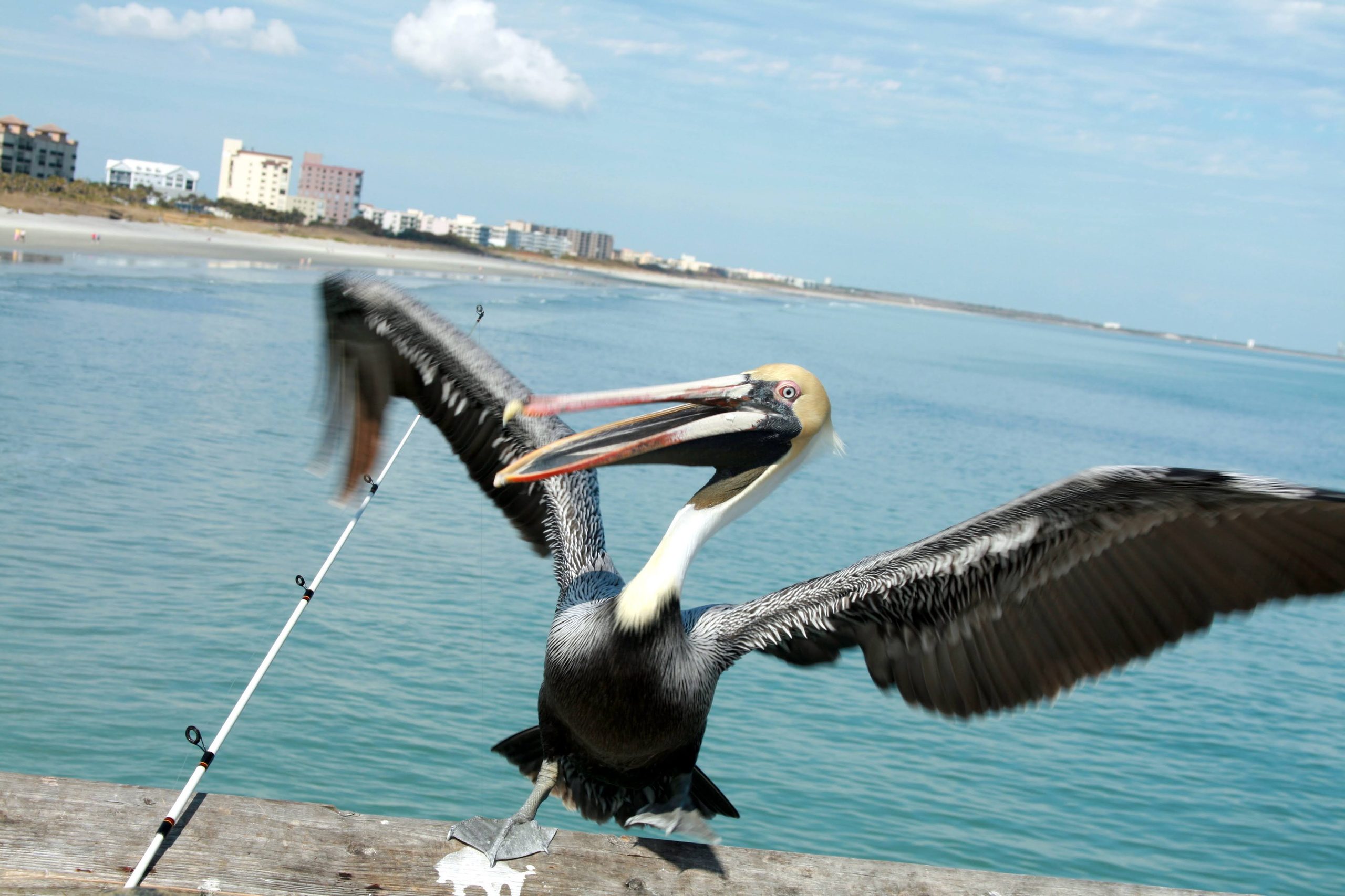Port Canaveral, Florida